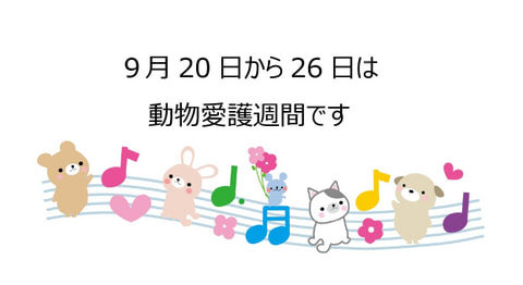 【鳥飼】9月20日から26日は動物愛護週間！